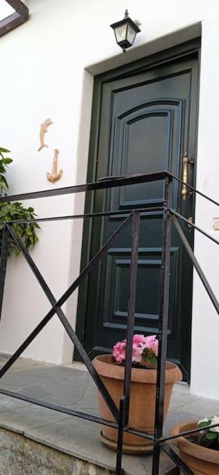 אלכסנדרופולי Elea Home Apartments מראה חיצוני תמונה