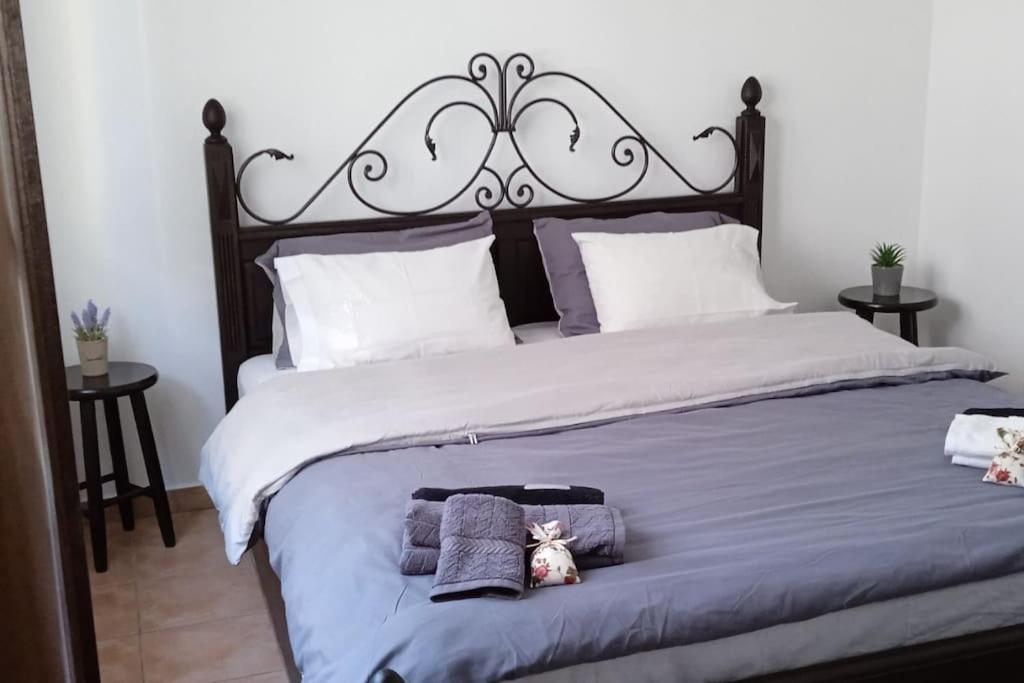 אלכסנדרופולי Elea Home Apartments מראה חיצוני תמונה