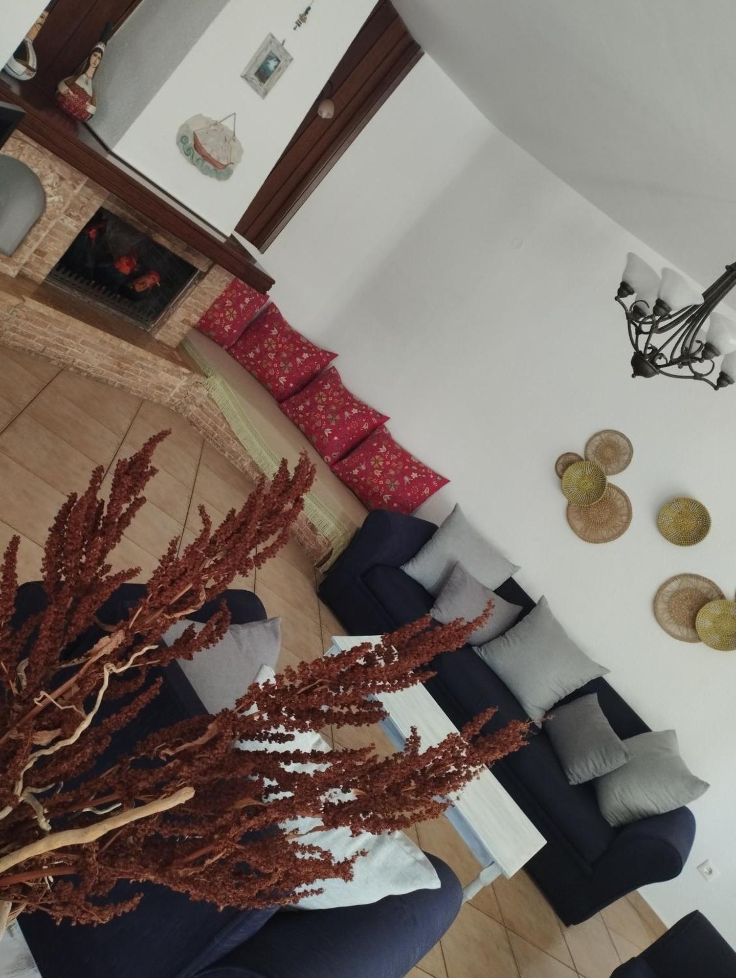 אלכסנדרופולי Elea Home Apartments מראה חיצוני תמונה